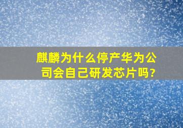 麒麟为什么停产华为公司会自己研发芯片吗?