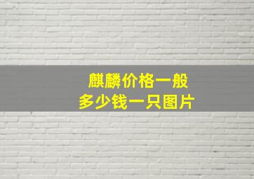 麒麟价格一般多少钱一只图片