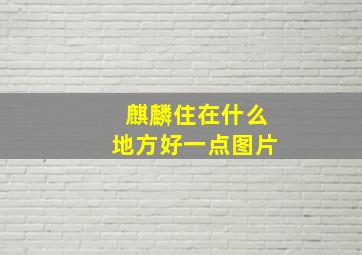 麒麟住在什么地方好一点图片