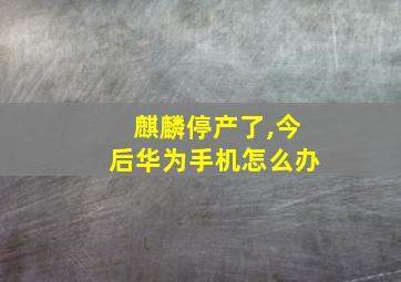 麒麟停产了,今后华为手机怎么办