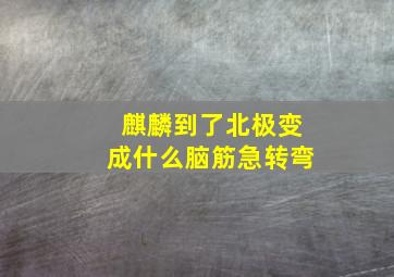 麒麟到了北极变成什么脑筋急转弯