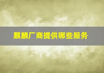 麒麟厂商提供哪些服务