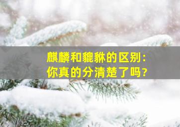 麒麟和貔貅的区别:你真的分清楚了吗?