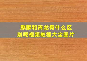 麒麟和青龙有什么区别呢视频教程大全图片