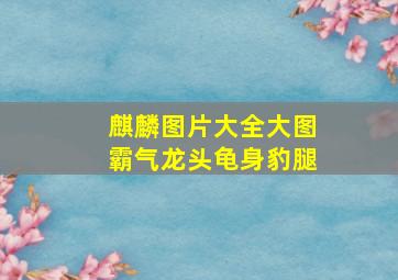 麒麟图片大全大图霸气龙头龟身豹腿