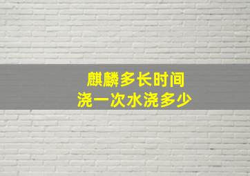 麒麟多长时间浇一次水浇多少