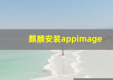 麒麟安装appimage