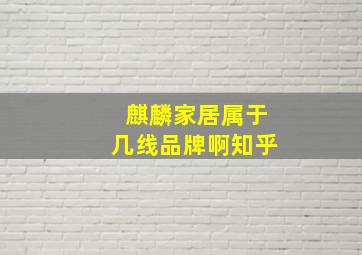 麒麟家居属于几线品牌啊知乎