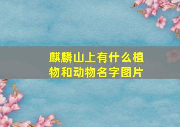 麒麟山上有什么植物和动物名字图片