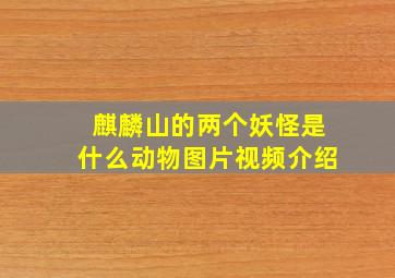 麒麟山的两个妖怪是什么动物图片视频介绍