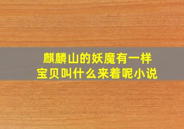 麒麟山的妖魔有一样宝贝叫什么来着呢小说