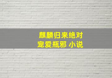 麒麟归来绝对宠爱瓶邪 小说