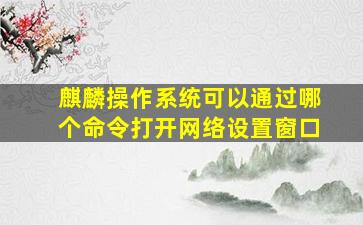 麒麟操作系统可以通过哪个命令打开网络设置窗口