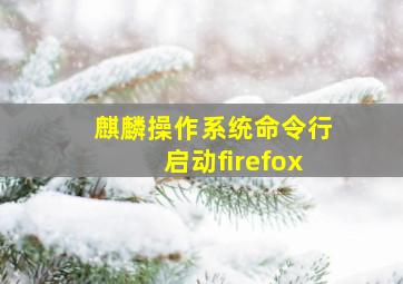 麒麟操作系统命令行启动firefox