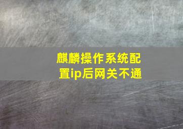 麒麟操作系统配置ip后网关不通