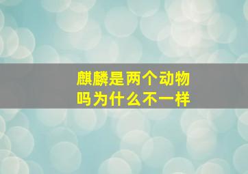 麒麟是两个动物吗为什么不一样