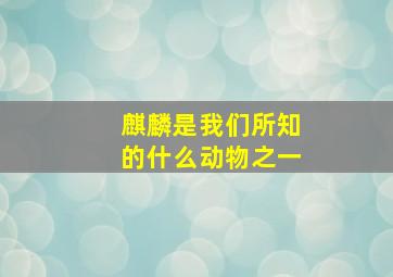 麒麟是我们所知的什么动物之一