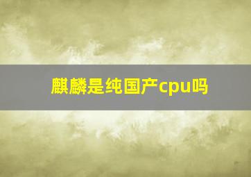 麒麟是纯国产cpu吗