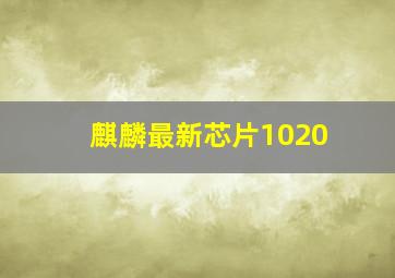 麒麟最新芯片1020