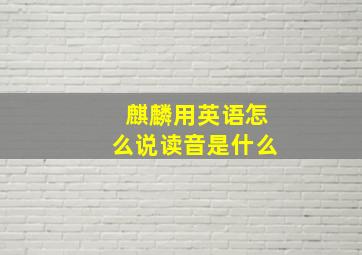 麒麟用英语怎么说读音是什么