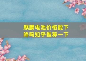 麒麟电池价格能下降吗知乎推荐一下