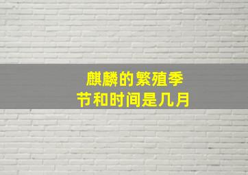 麒麟的繁殖季节和时间是几月