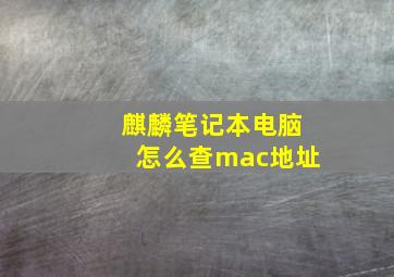 麒麟笔记本电脑怎么查mac地址