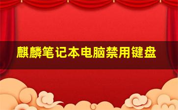 麒麟笔记本电脑禁用键盘