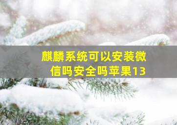 麒麟系统可以安装微信吗安全吗苹果13