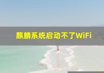 麒麟系统启动不了WiFi