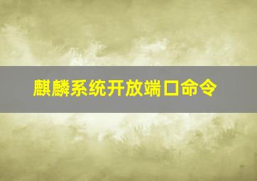 麒麟系统开放端口命令