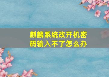 麒麟系统改开机密码输入不了怎么办