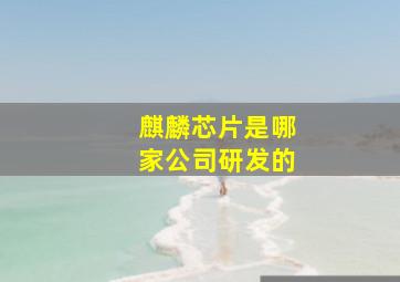 麒麟芯片是哪家公司研发的