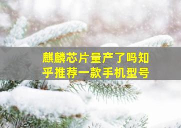 麒麟芯片量产了吗知乎推荐一款手机型号