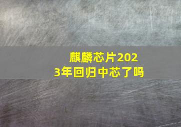 麒麟芯片2023年回归中芯了吗