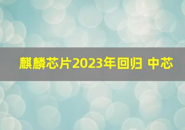 麒麟芯片2023年回归 中芯