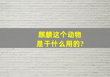 麒麟这个动物是干什么用的?