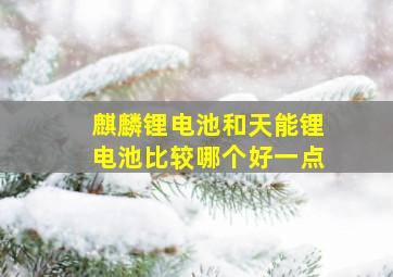 麒麟锂电池和天能锂电池比较哪个好一点