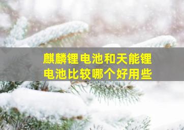 麒麟锂电池和天能锂电池比较哪个好用些