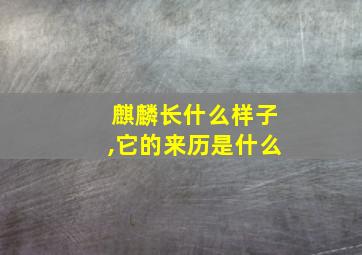 麒麟长什么样子,它的来历是什么