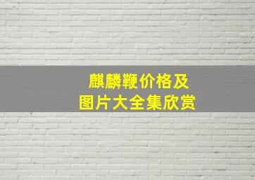 麒麟鞭价格及图片大全集欣赏