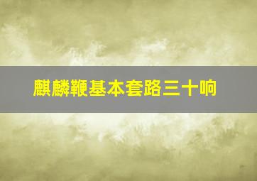 麒麟鞭基本套路三十响