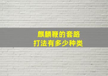 麒麟鞭的套路打法有多少种类