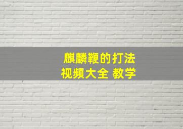 麒麟鞭的打法视频大全 教学