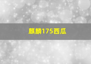 麒麟175西瓜