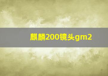 麒麟200镜头gm2