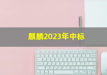 麒麟2023年中标