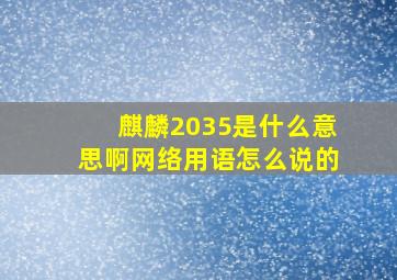 麒麟2035是什么意思啊网络用语怎么说的