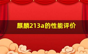 麒麟213a的性能评价