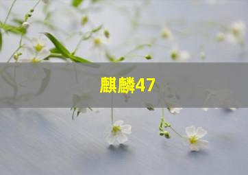 麒麟47